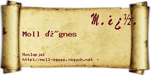 Moll Ágnes névjegykártya